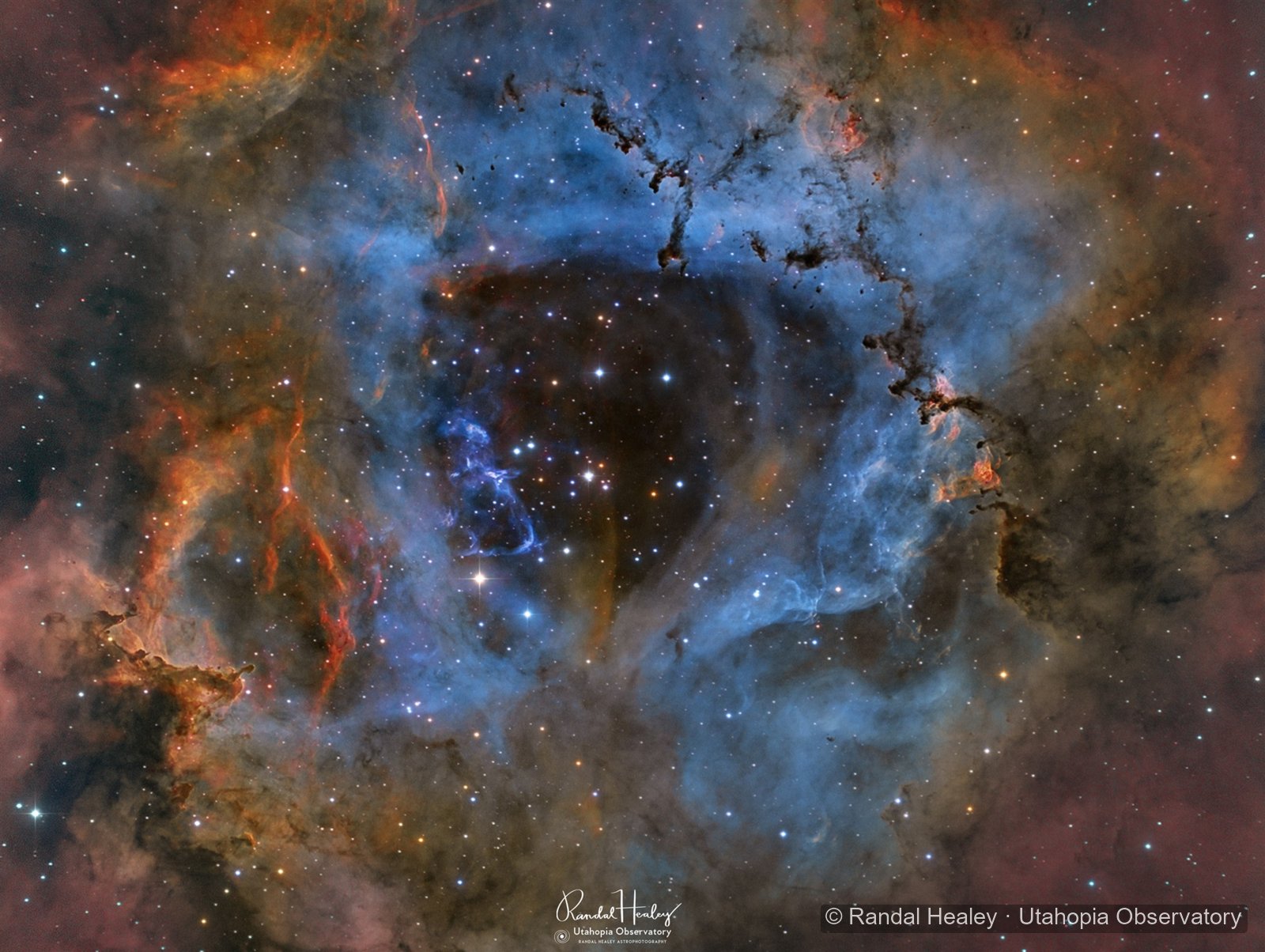 The Rosette Nebula photographed by Randal Healey